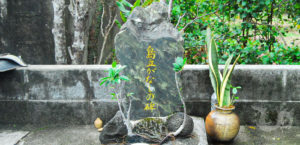 龍郷町観光ガイドブック 島立てがなしの碑 (瀬留)写真