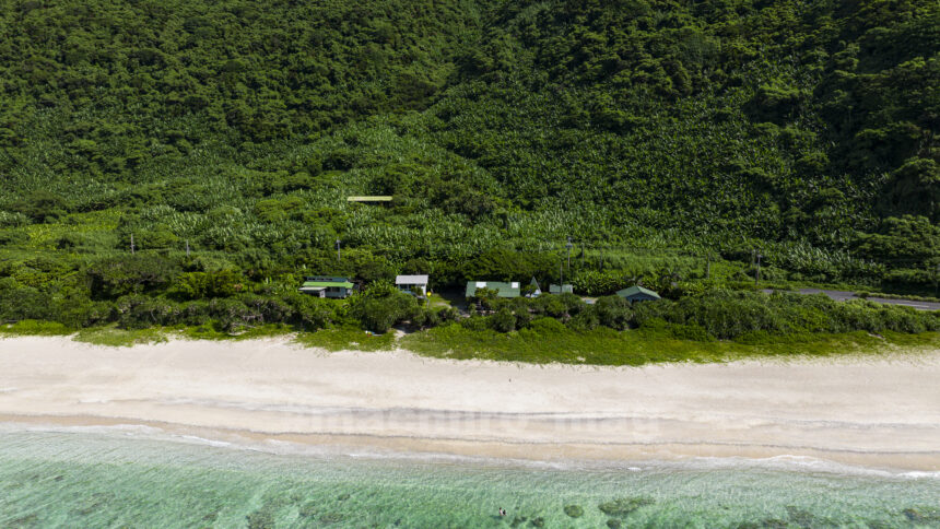 バショウ群落空撮写真2025